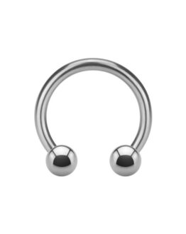 Titanium Circular Barbell
