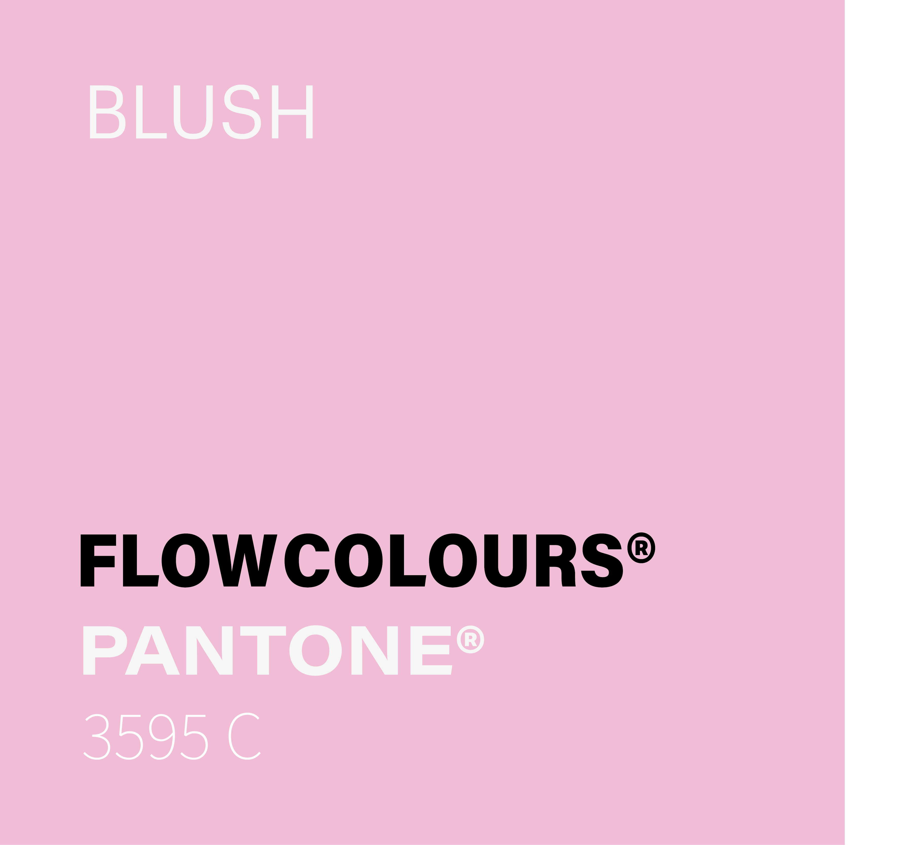 BLUSH FLOWCOLOURS TATTOO INK PANTONE