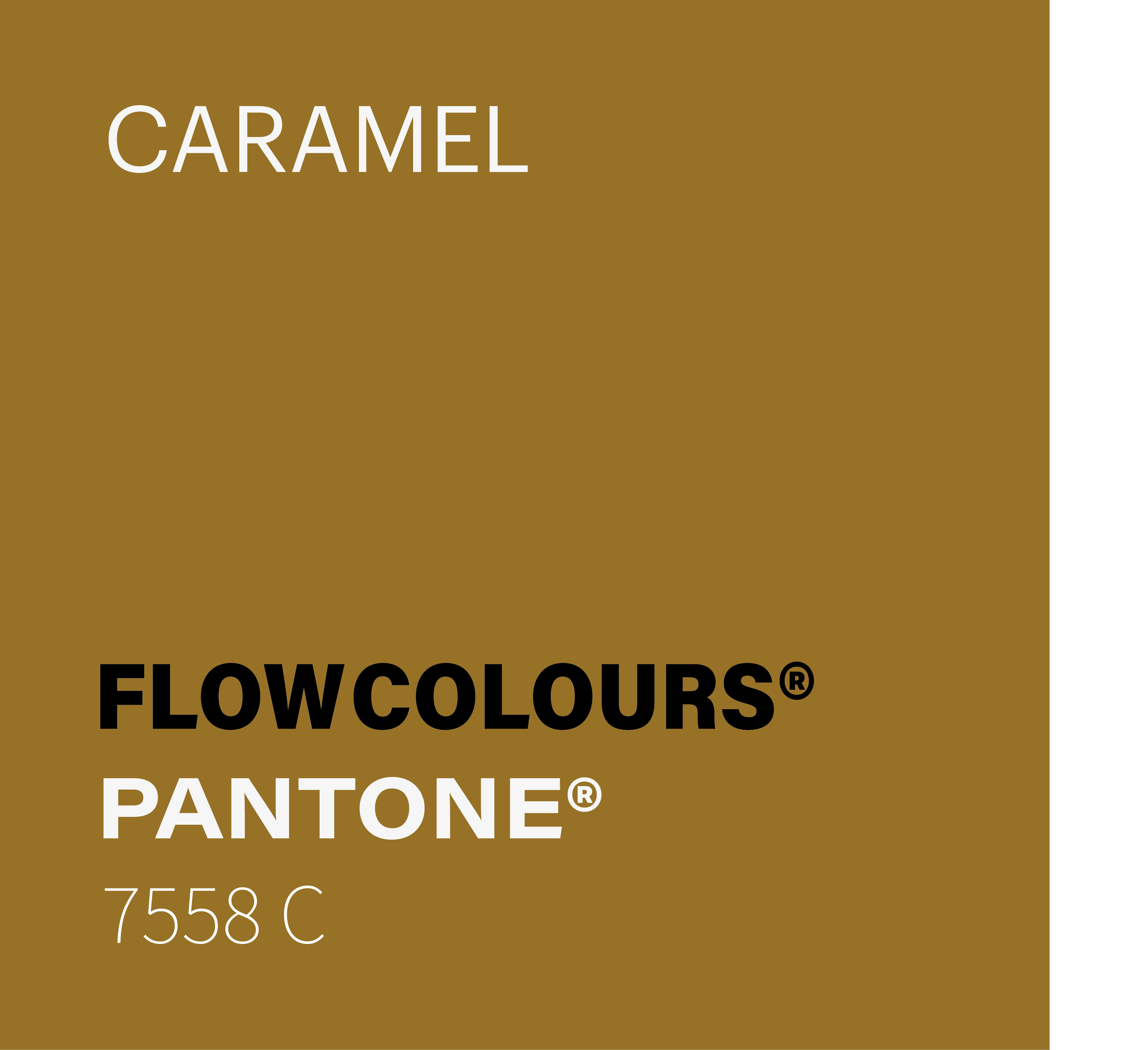 CARAMEL FLOWCOLOURS TATTOO INK PANTONE