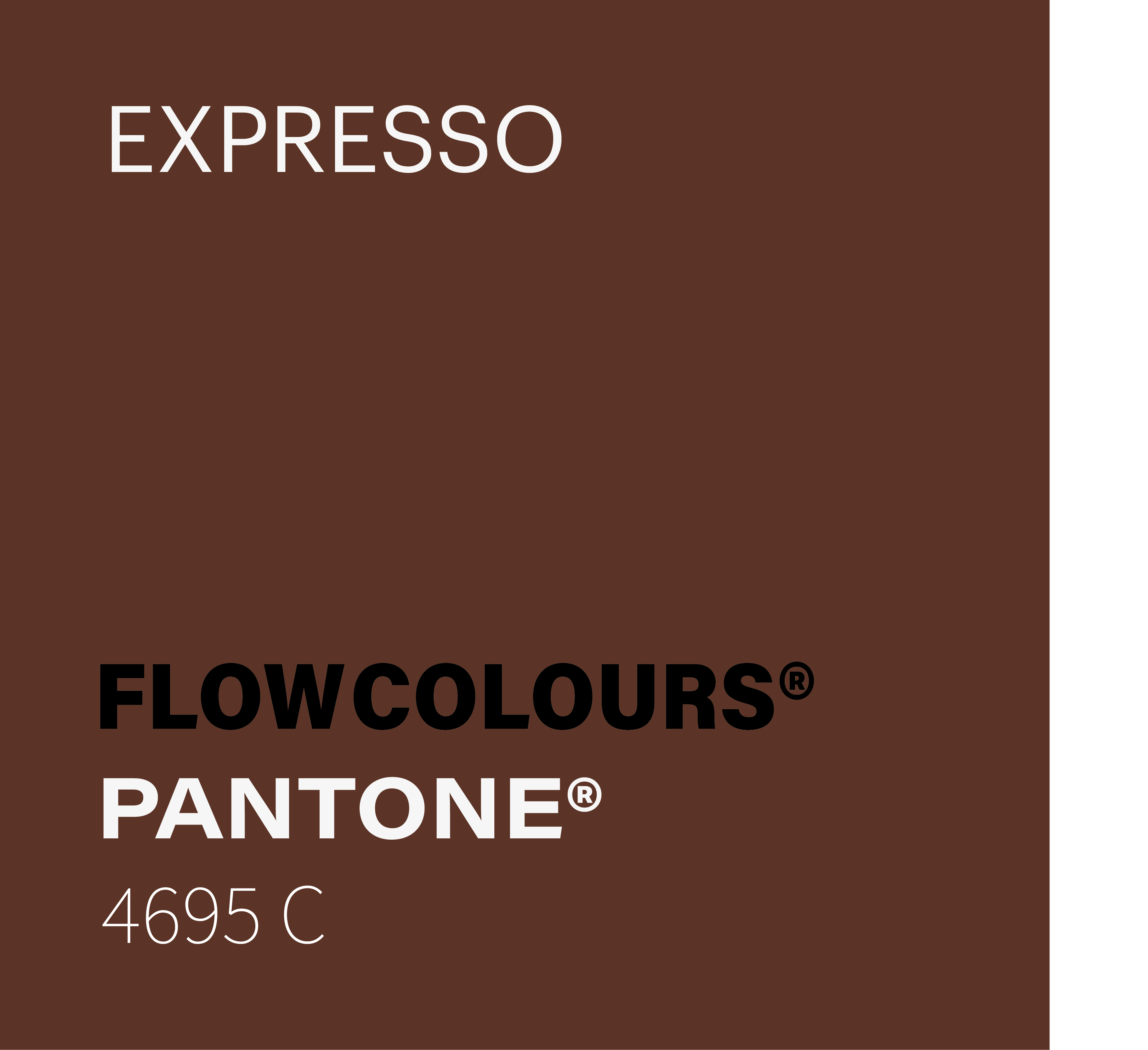 EXPRESSO FLOWCOLOURS TATTOO INK