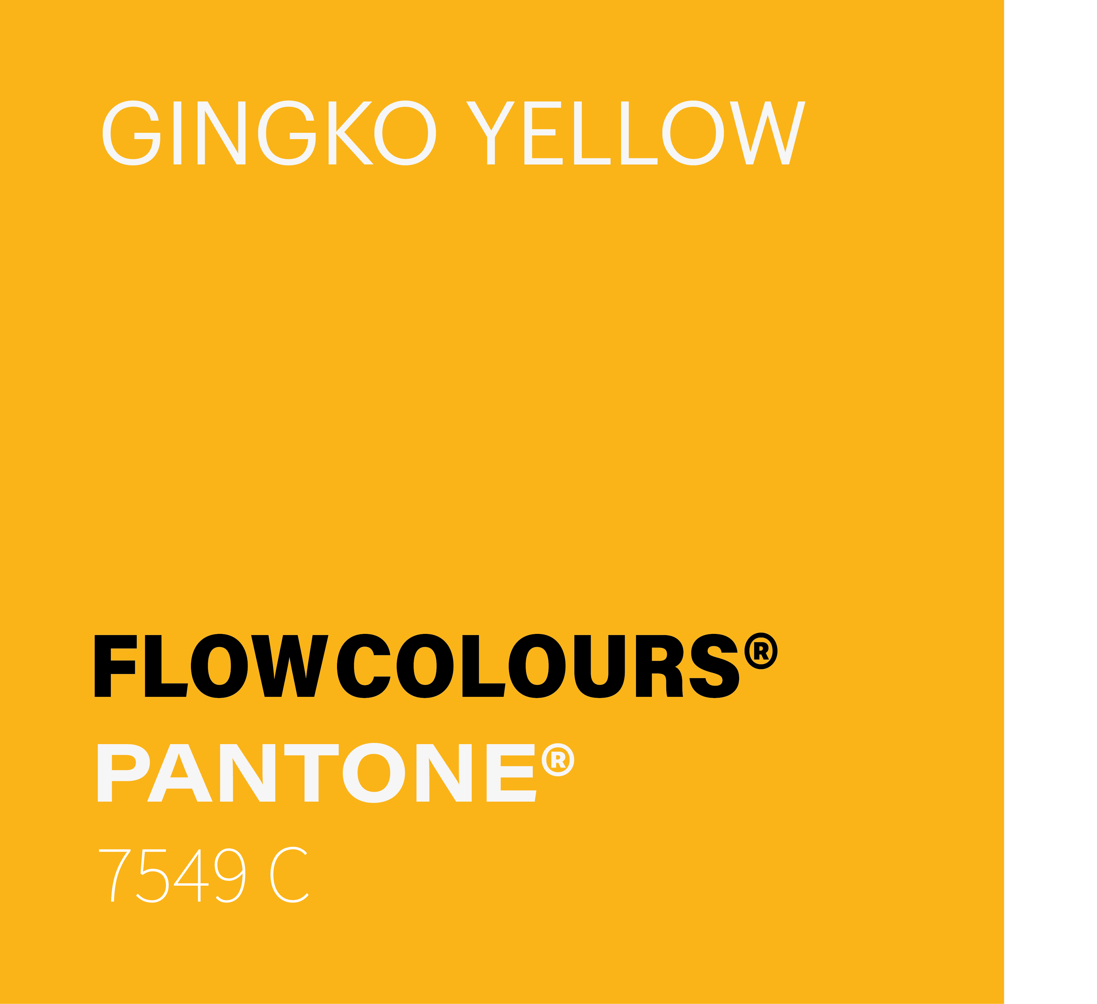 GINGKO YELLOW FLOWCOLOURS TATTOO INK