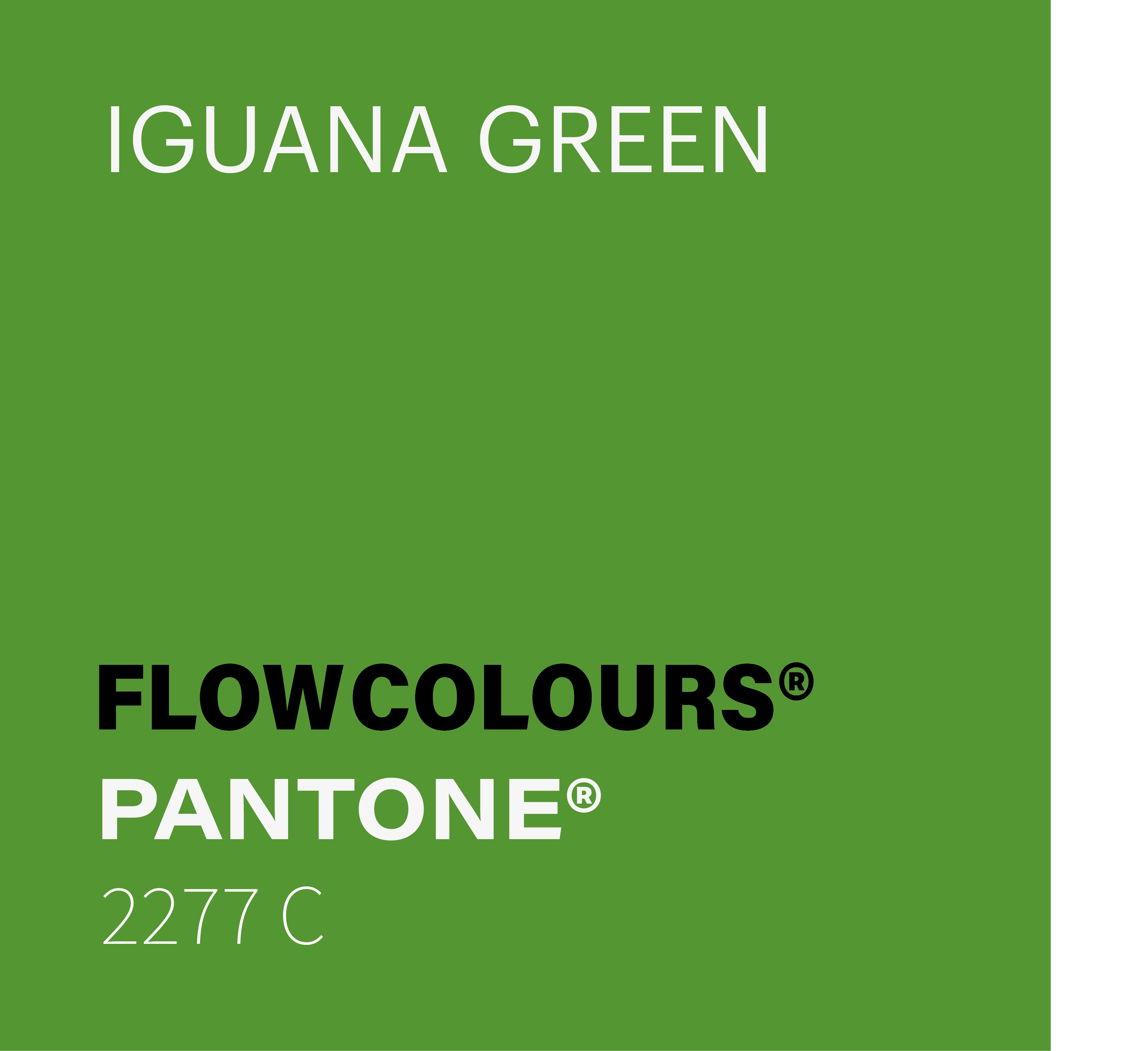 IGUANA GREEN FLOWCOLOURS TATTOO INK